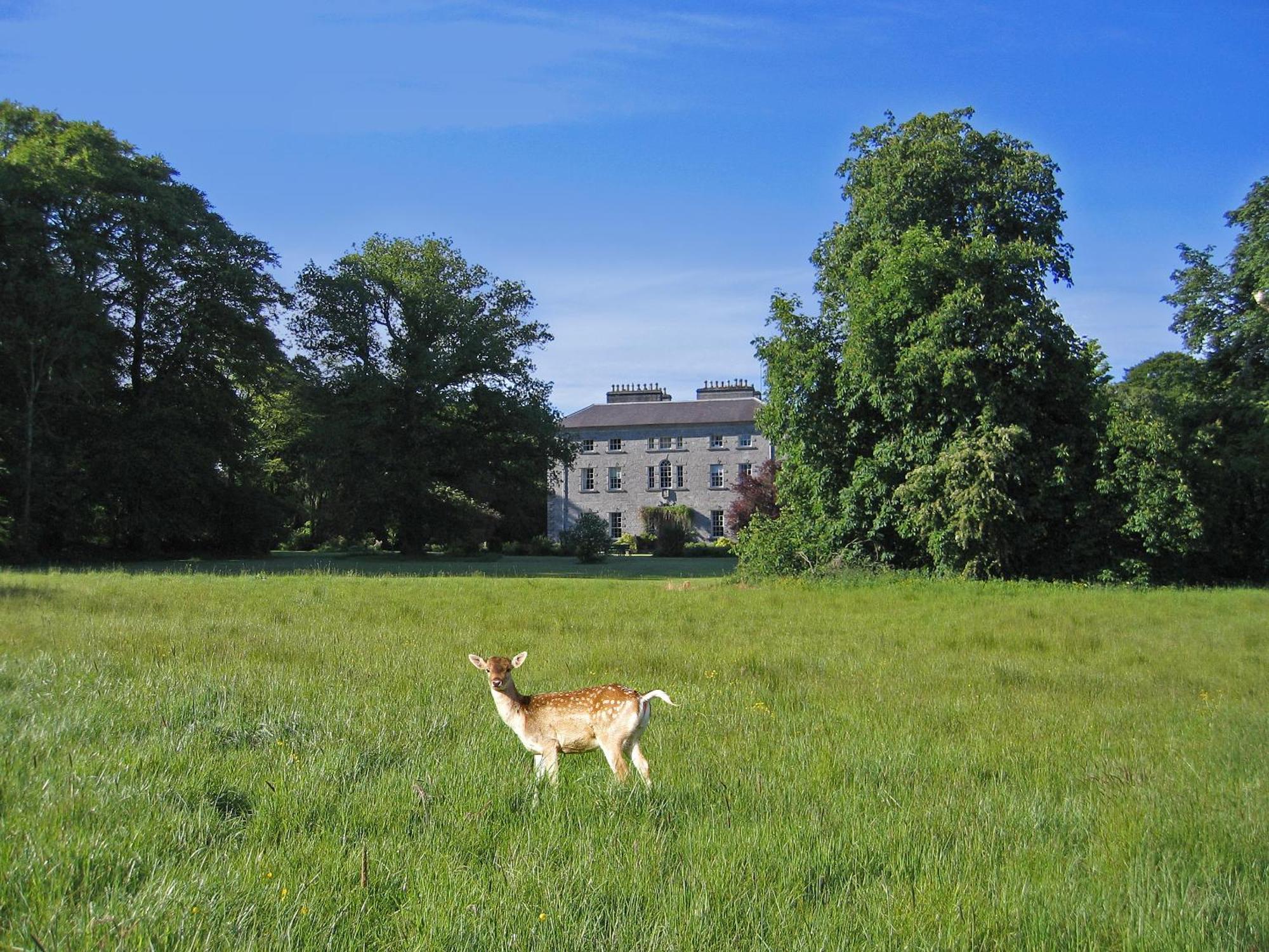 Coopershill House Hotel Riverstown  ภายนอก รูปภาพ